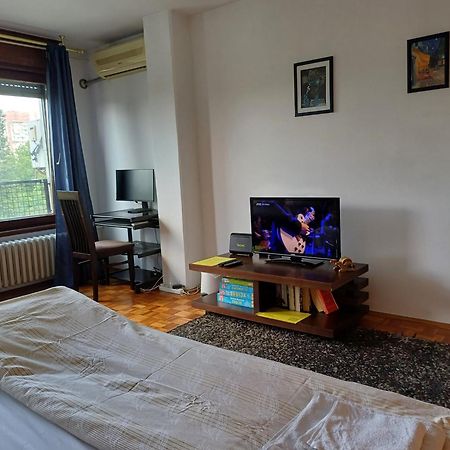 Apartment Student City, Wifi 300Mbs ベオグラード エクステリア 写真