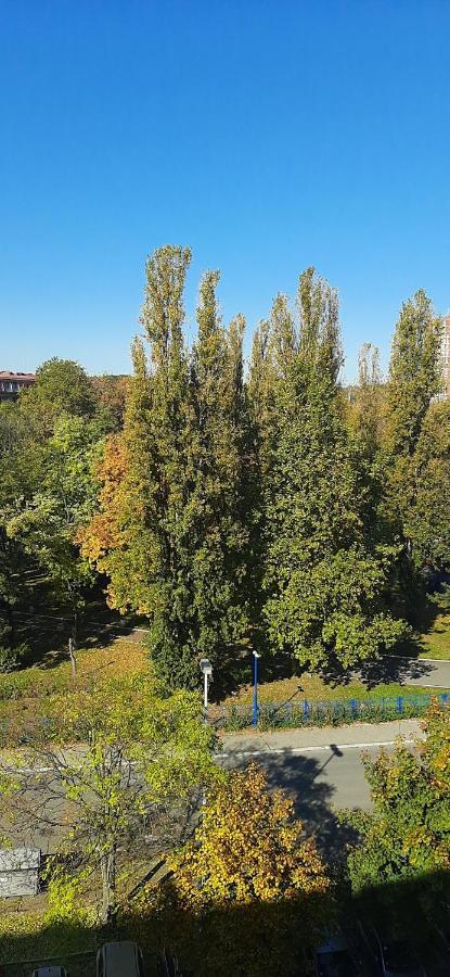 Apartment Student City, Wifi 300Mbs ベオグラード エクステリア 写真
