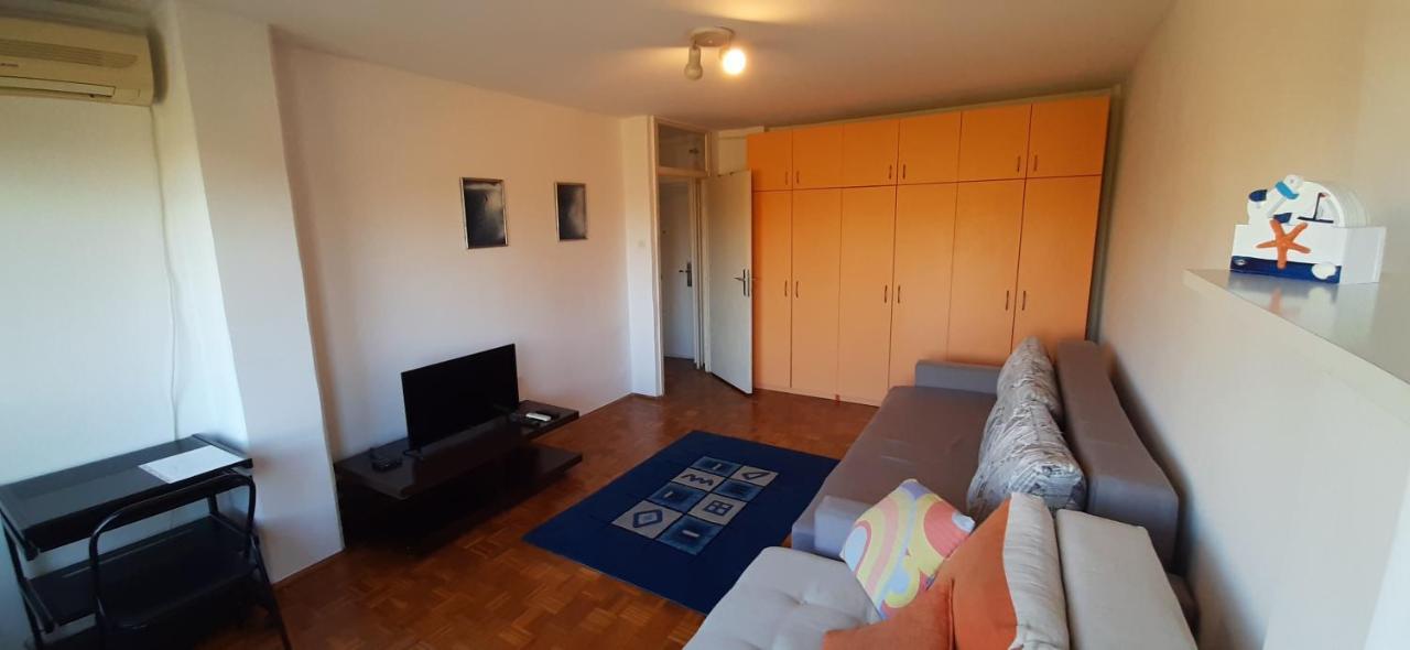 Apartment Student City, Wifi 300Mbs ベオグラード エクステリア 写真
